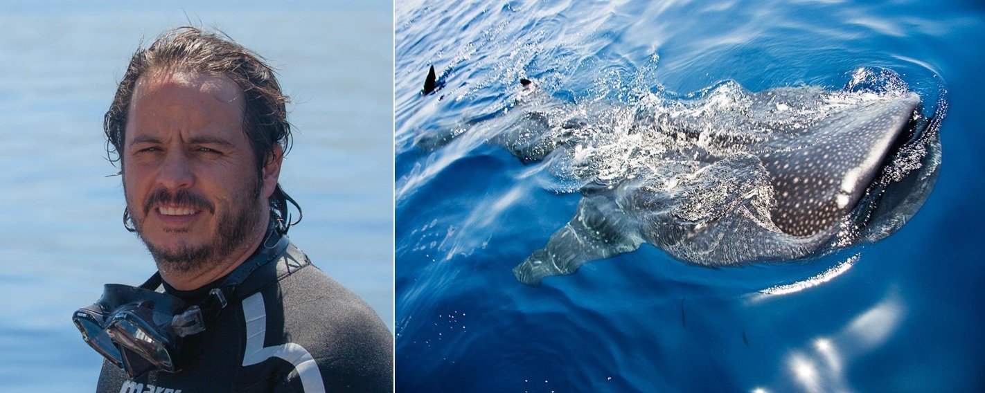 ORIS邀请品牌大使兼野生动物摄影师Gerardo del Villar，拍摄和制作以鲸鲨为主题的纪录片。