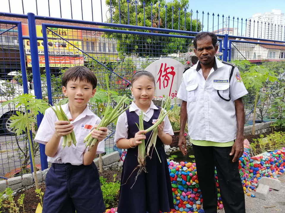 槟城协和小学的学生收割成熟的青葱。许子然表示，虽然学生年纪小，但都对种植与环保活动表现出热忱。