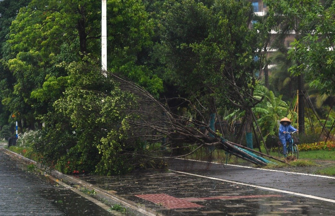 台风“山神”周三清晨登陆海南省万宁市沿海的万城镇，风力达9级，当地狂风暴雨。琼海市博鳌镇也受到台风波及，不少大树被强风吹倒。