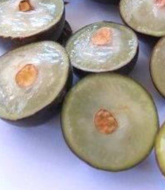 早生四季树葡萄表面上与葡萄类似，但每一粒都是圆圆的；而果肉则有一种独特的香味。