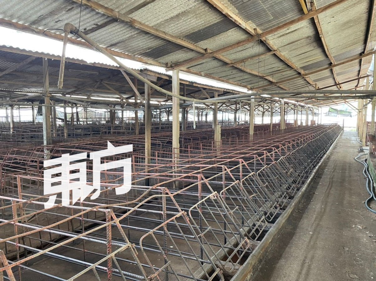 马六甲养猪场已“清零”。