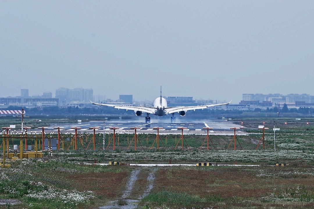 上海将逐步恢复国内航班执飞，适时调整国内外航司执飞上海市航班的客座率。图为东航空客A330客机周一在虹桥国际机场进行本场飞行训练。（图取自中新社）