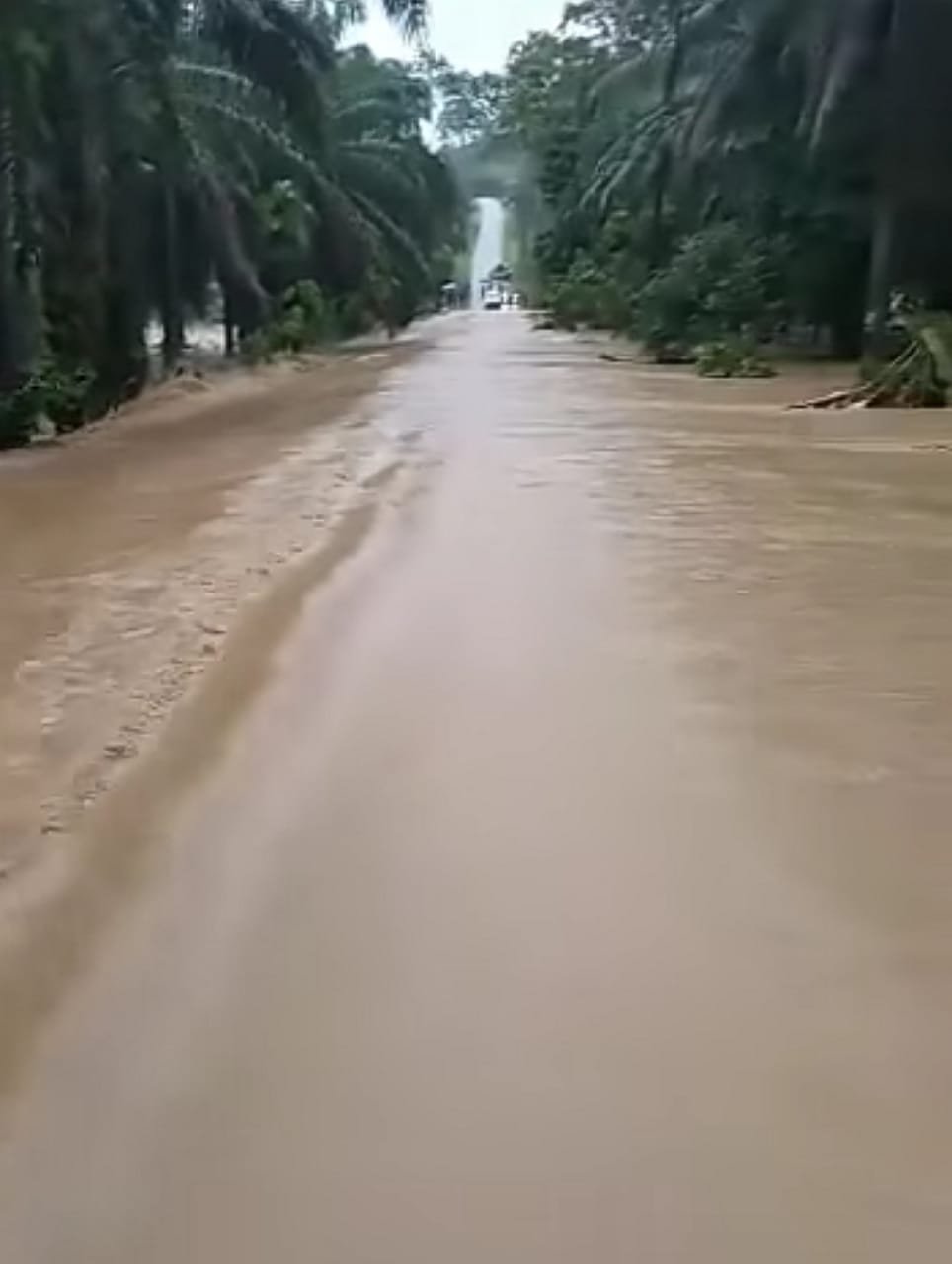 通往地罗叻原住民村的道路，已被洪水淹没。（视频截图）