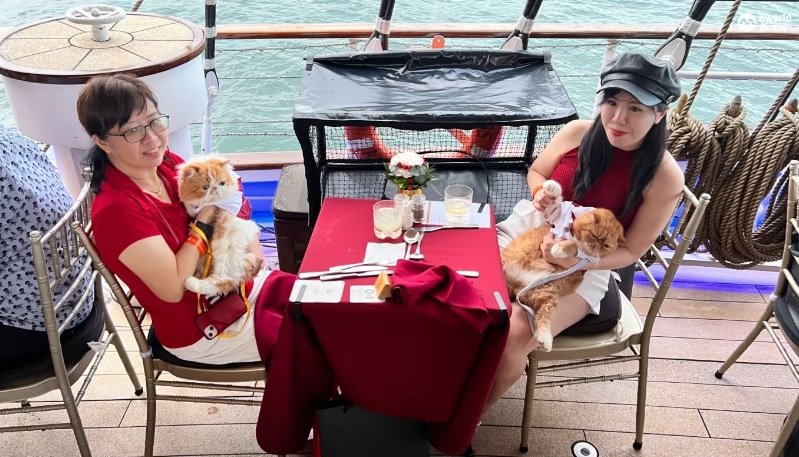 黄美英（左）和她的女儿盈慧带著两只爱猫参加活动。
