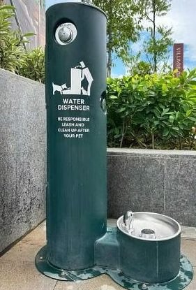 宠物饮水机共有两个设置，上方供民众饮用，下方则供宠物使用。