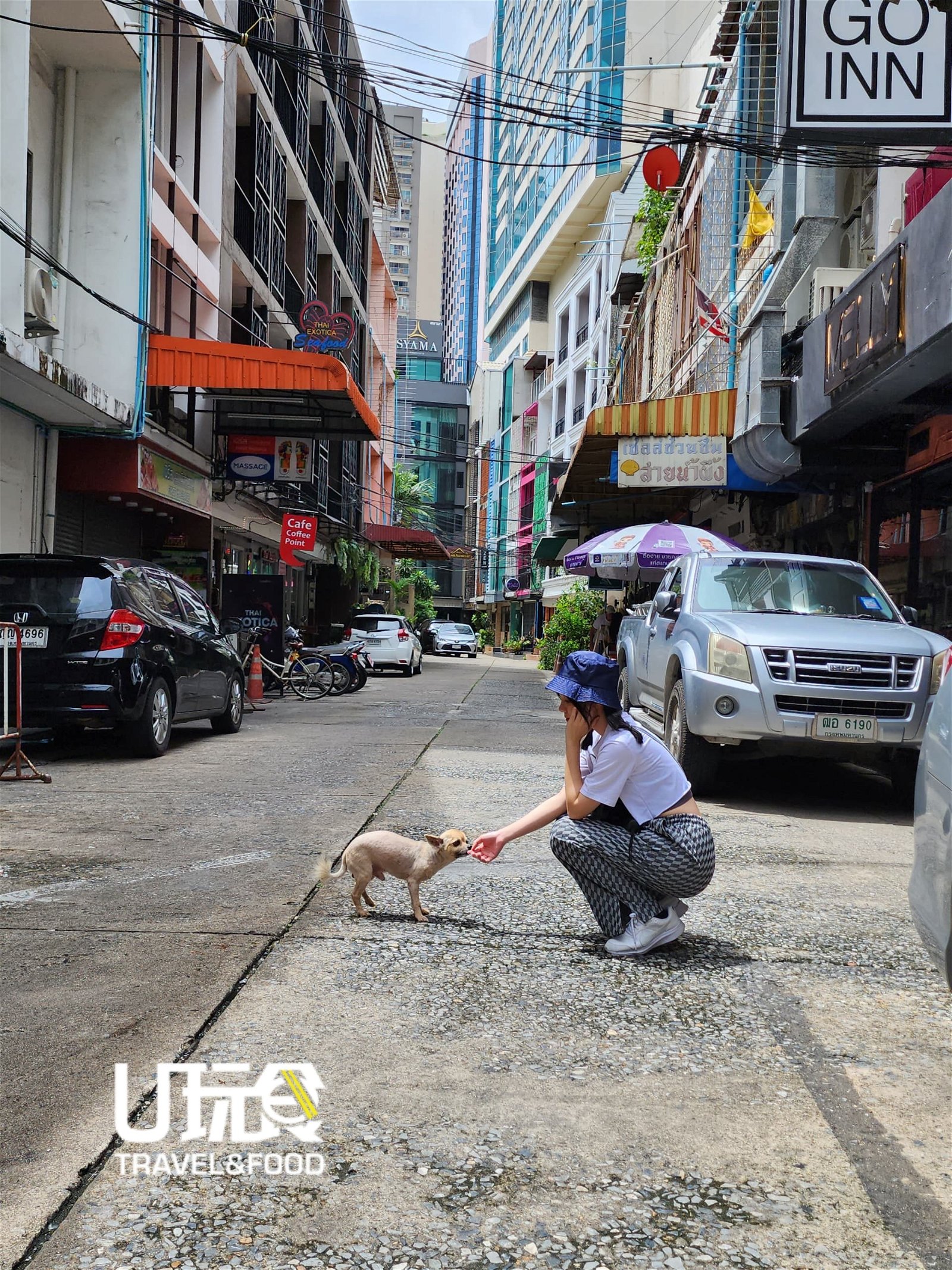 刚出门就遇到热情的小狗，曼谷的街道虽然狭窄，但司机们大多会礼让行人。