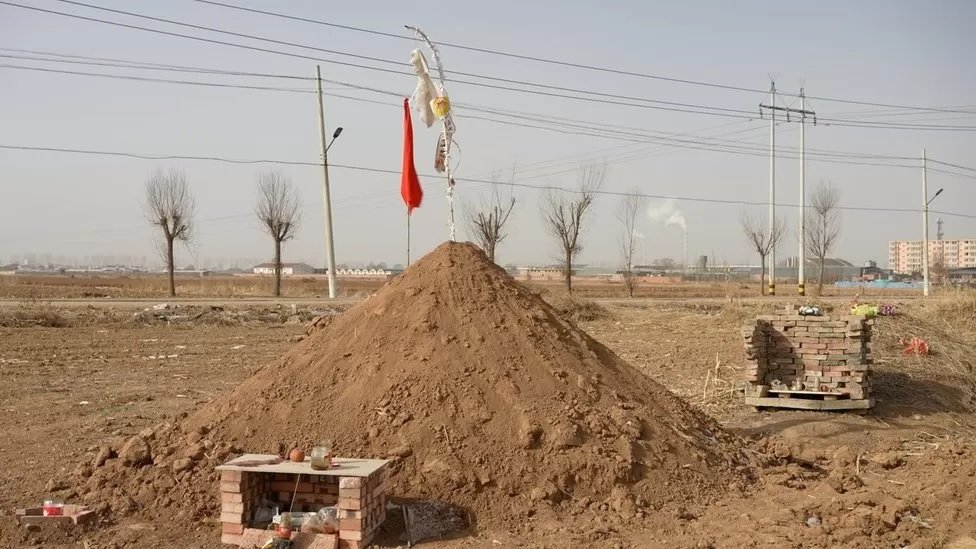 田野上堆起了新的坟墓，上面插了红旗。（图取自BBC）