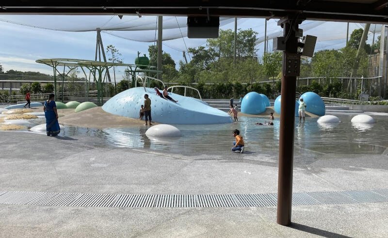 男童在新加坡飞禽公园的游乐设施玩耍时撞断牙。 （取自网络）