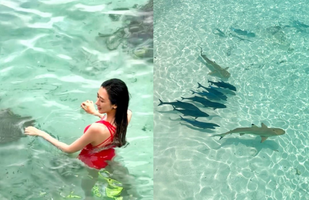 蒋丽莎在马尔代夫畅泳，好不惬意。