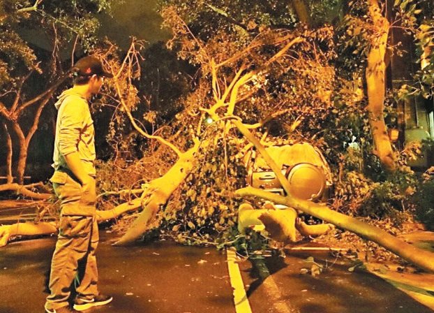 王力宏站在遭苏迪勒吹垮的树旁边，让网友相当担心。