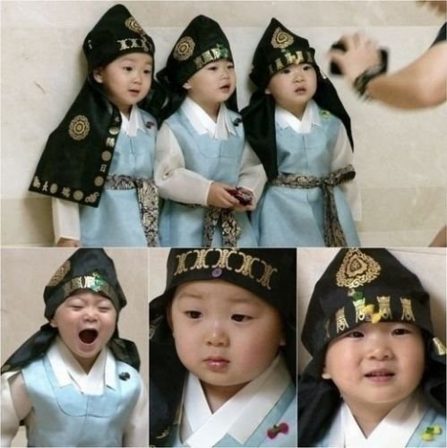 大韩民国万岁被称作“最萌三胞胎”，可爱模样萌翻不少粉丝。
