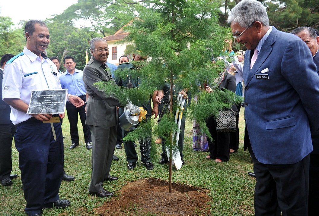 拉提夫（左起）陪同马哈迪在大马森林研究院内植树。