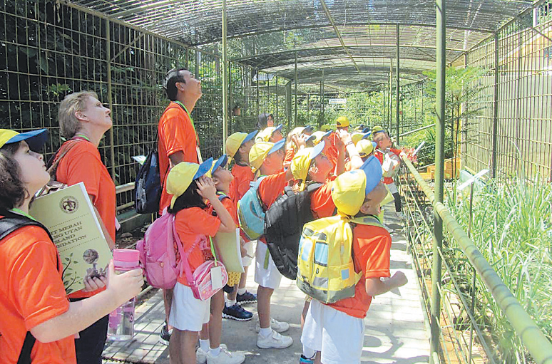 游客可在约100公尺网状式铁笼形走道，深入人猿生活的森林边缘，观看人猿。