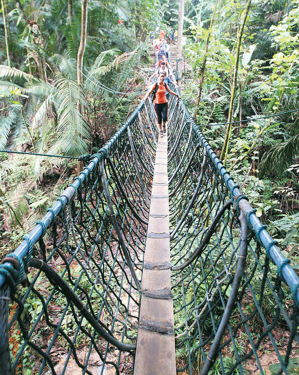 只要根据地图，就能顺利抵达吊桥，在森林保护区内走吊桥，感受不一样的登山体验。