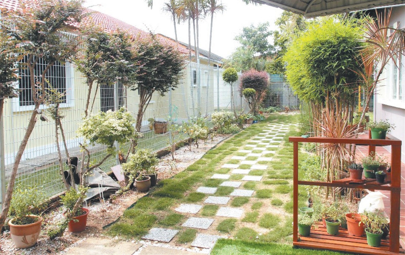 Sapone生活铺的庭院种满香草和果树，日后将成为分享的一部分。