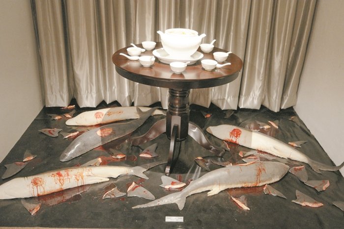 刘致雄表示，为了鼓励支持反吃鱼翅运动，该馆特在一个区域摆设被残杀的鲨鱼及鱼翅，用立体效果把讯息带出。