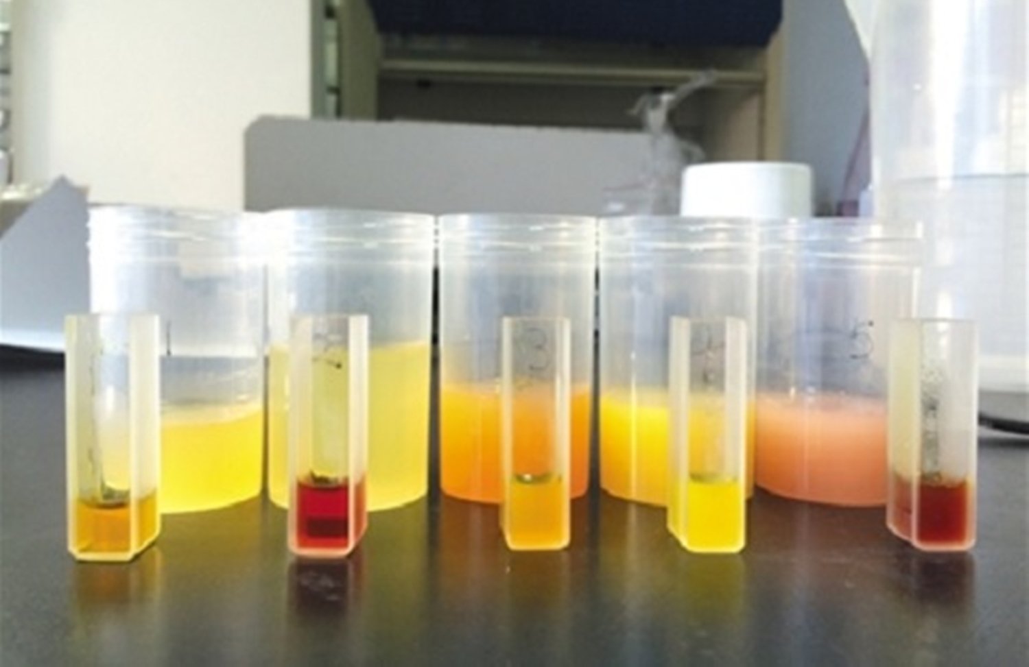 结果显示含有果汁的样品颜色变成红褐色（左2和右），没有果汁或者含有少量果汁的样品，则颜色不发生变化或发生轻微变化。