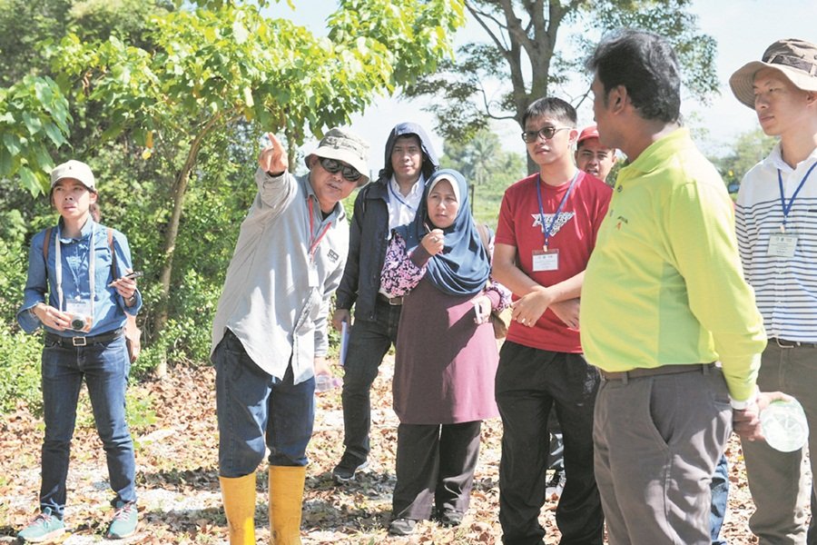 洪来和（左2）于11月17日带领10多名学生及研究人员参观锡尾矿地造林中心，讲解造林过程。 （摄影：陈为康）