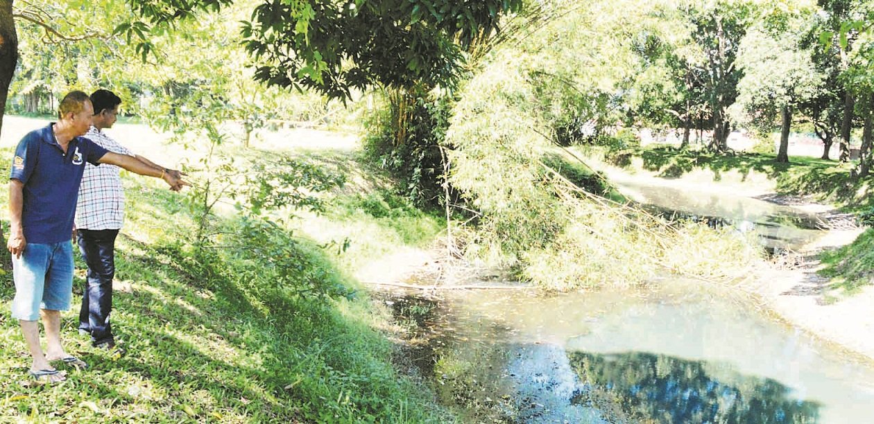 DR辛尼华沙甘公园内的人造河流排水欠理想及树丛倒下，破坏公园的美景。