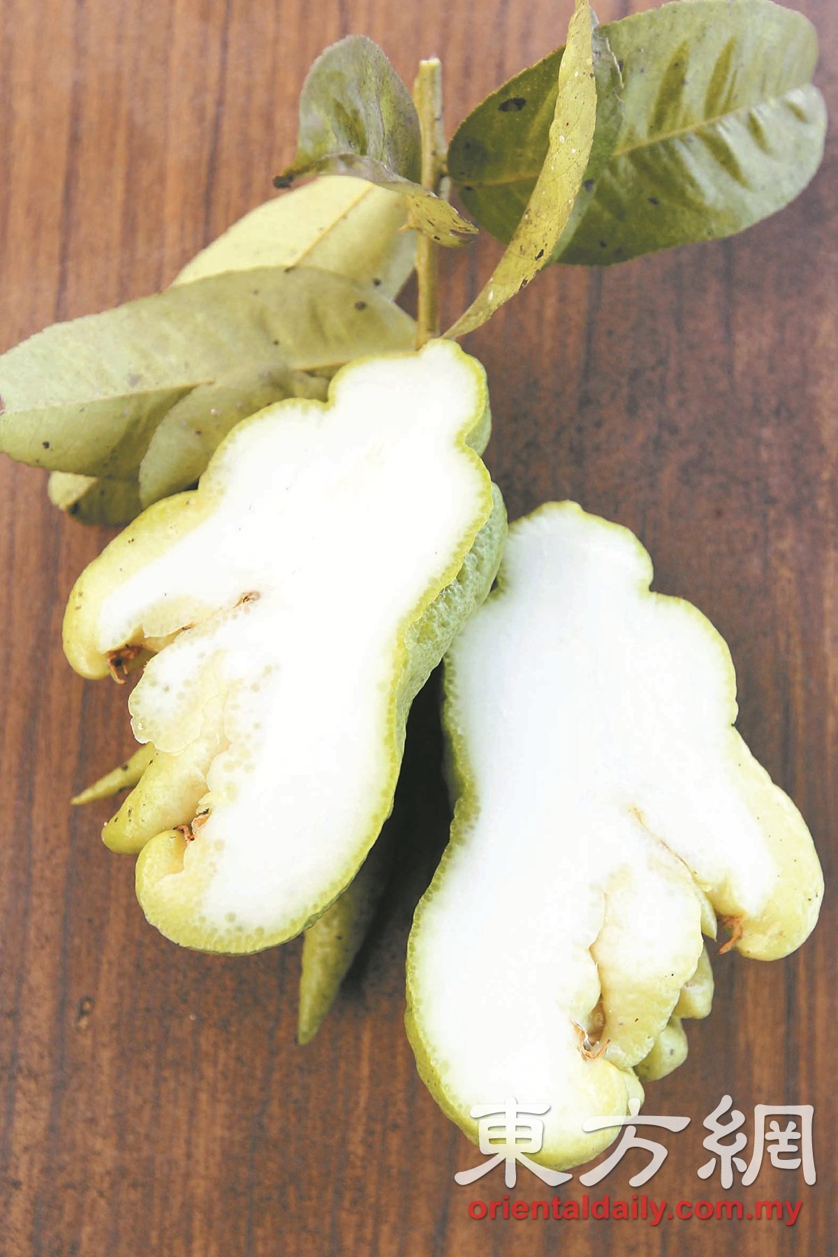 佛手柑的外皮呈浅绿色，内部的果肉则呈白色。