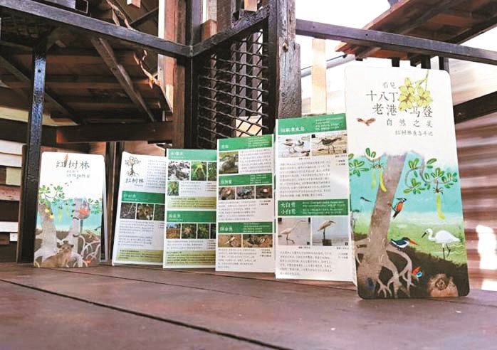 《看见十八丁、老港、马登自然之美》红树林生态手记，以深入简出和生动的方式，介绍渔村和红树林的生态动植物。