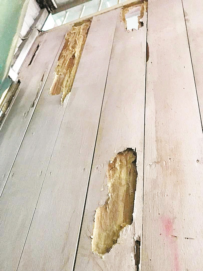 木板经白蚁蛀蚀后，留下一个个坑洞。
