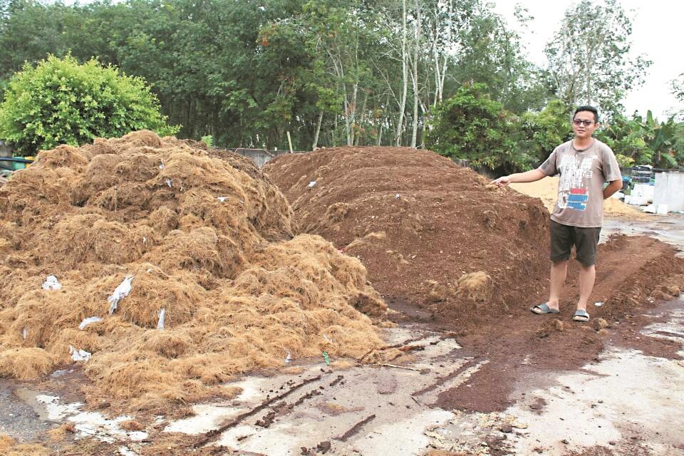 黄势超以椰丝及椰粉作为堆肥，渐而取代传统的泥土种植法。