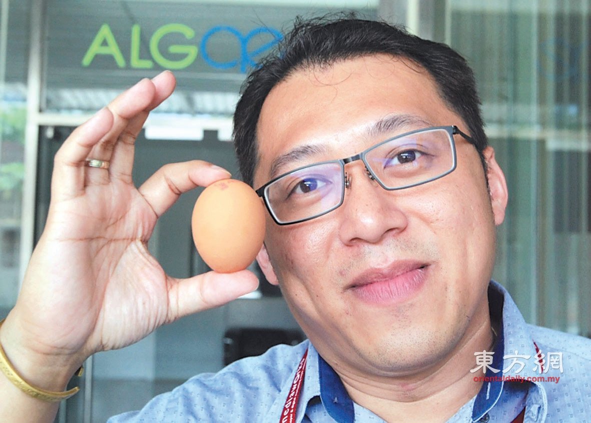 贝伟华：母鸡食用虾青素后产出的蛋，比平常鸡蛋拥有更高蛋白质和较低胆固醇。