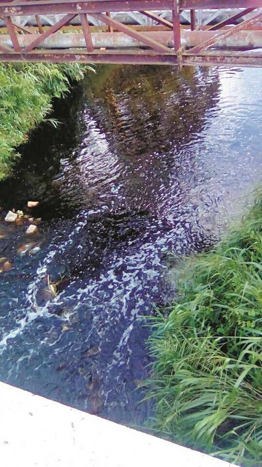 垃圾场的污水渗透文律河，导致河水呈暗黑色。