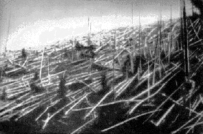 1908年6月30日一颗陨石在西伯利亚上空爆炸，摧毁2000平方公里的森林，图为1927年森林照片，仍可见遍地倾倒的树木。