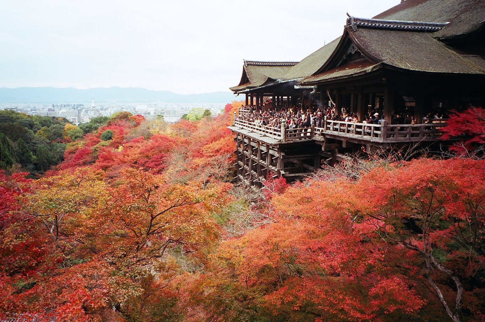 因为想到日本生活，杨静宜到日本古城京都念语言学校，在当地生活的1 9 2天里，她带著底片相机穿梭大街小巷，到知名的景点参观，也到不知名的咖啡馆和老板聊天。图为当地著名的赏枫景点，京都最古老的寺庙清水寺。