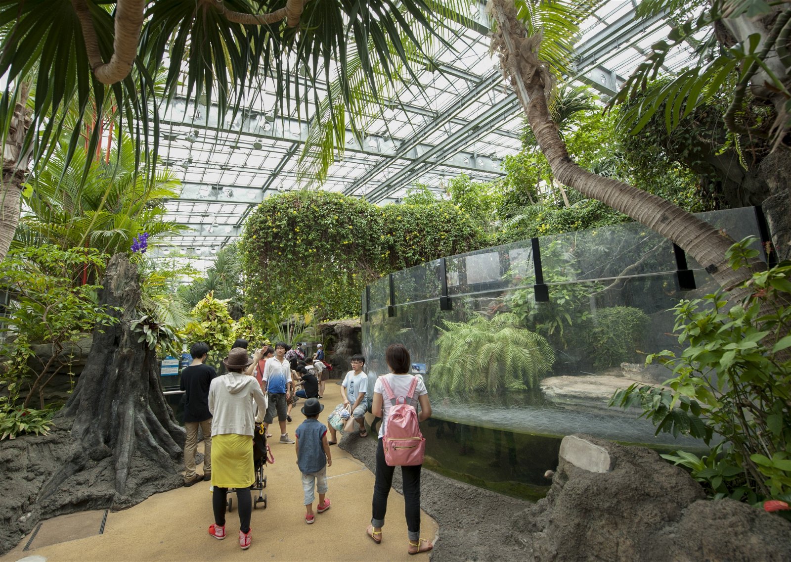 日本最古老、入园人数最多的东京上野动物园早在2005年就已推行与动物“零距离”的动物园展示规划，舍弃冰冷的栅栏，采用透明水族箱，让游客近距离观察动物的行动。