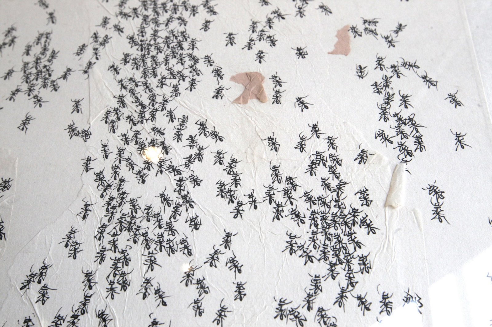 吴亚鸿以蚂蚁作品闯出名堂。蚂蚁代表了他的人生历程：一个小小的生命，一直走下去的希望。