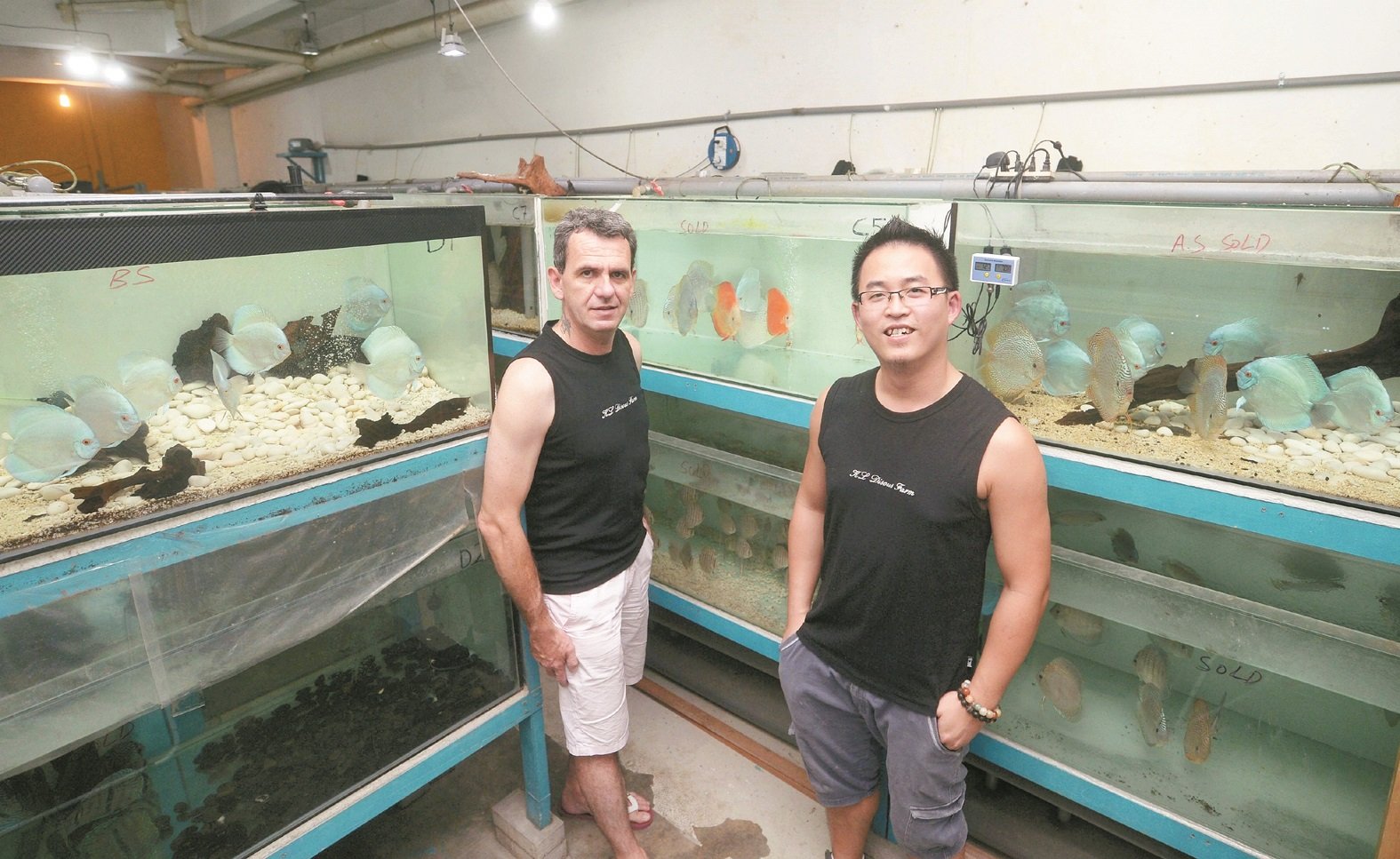 姜纪向（右起）和法国股东弗德里克共同打理养殖场，希望培育出更多新品种，打响我国七彩神仙鱼招牌。