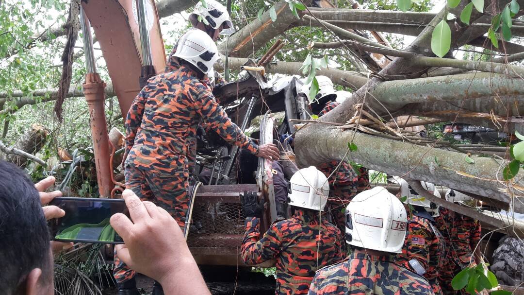 消拯人员花费长时间才得以将大树锯断，从泥机车司机座将死者遗体移出。