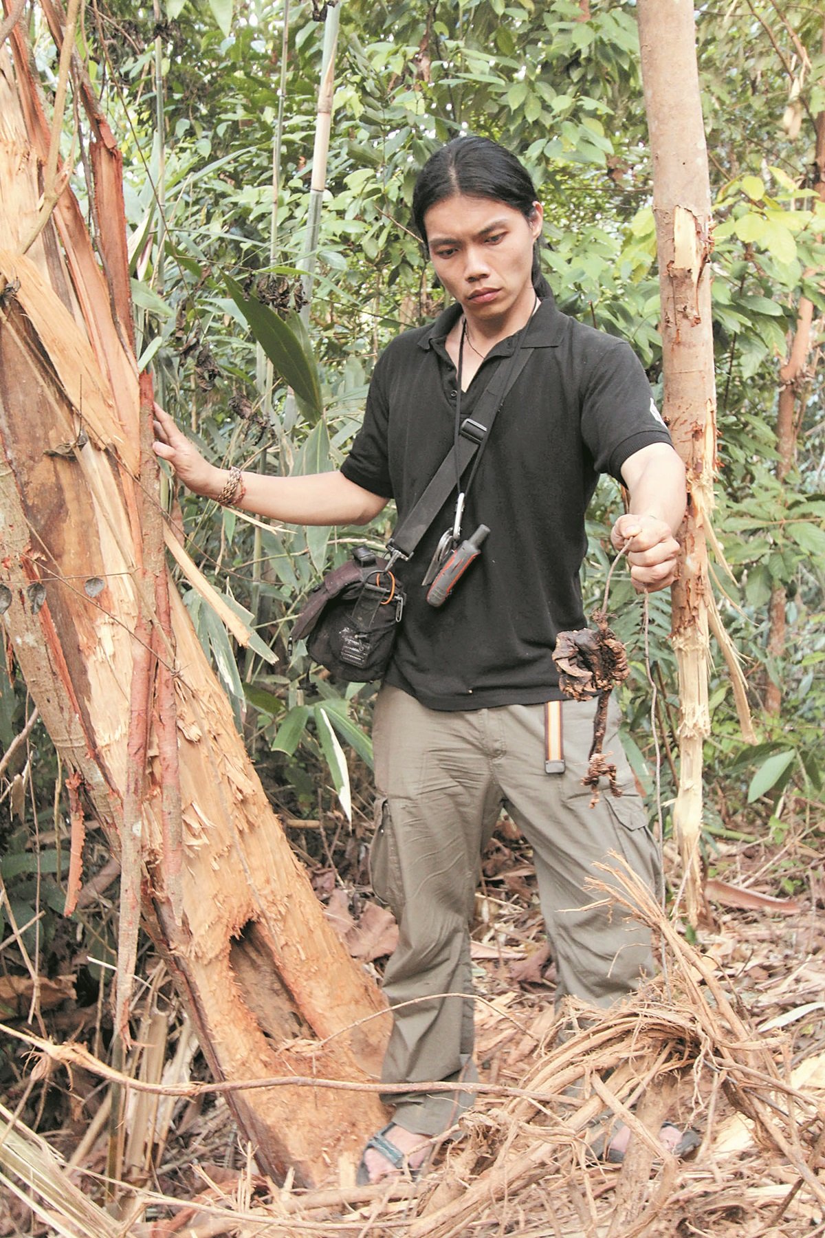 刘庆丰曾在巡逻时，发现钢线陷阱困住了一只马来熊的断掌，并在附近发现马来熊的尸体，相信是细菌感染而亡。  -世界自然基金会提供-