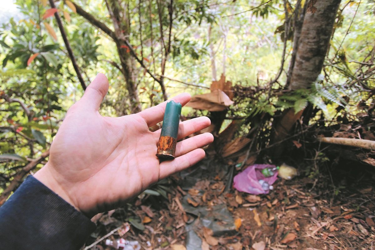 WWF队员在森林内发现用作 狩猎遗留的子弹壳，揣测该 处曾有人驻守猎物。 -世界自然基金会提供-