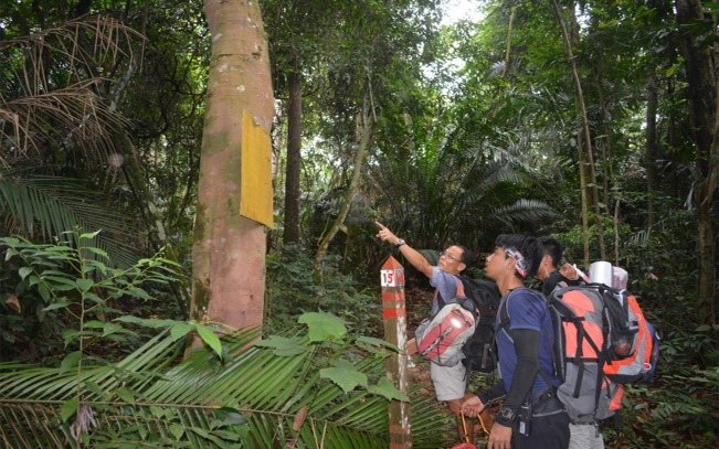 森林研究院员工花了长时间，检查及标记研究院的边界，避免地段被侵占。