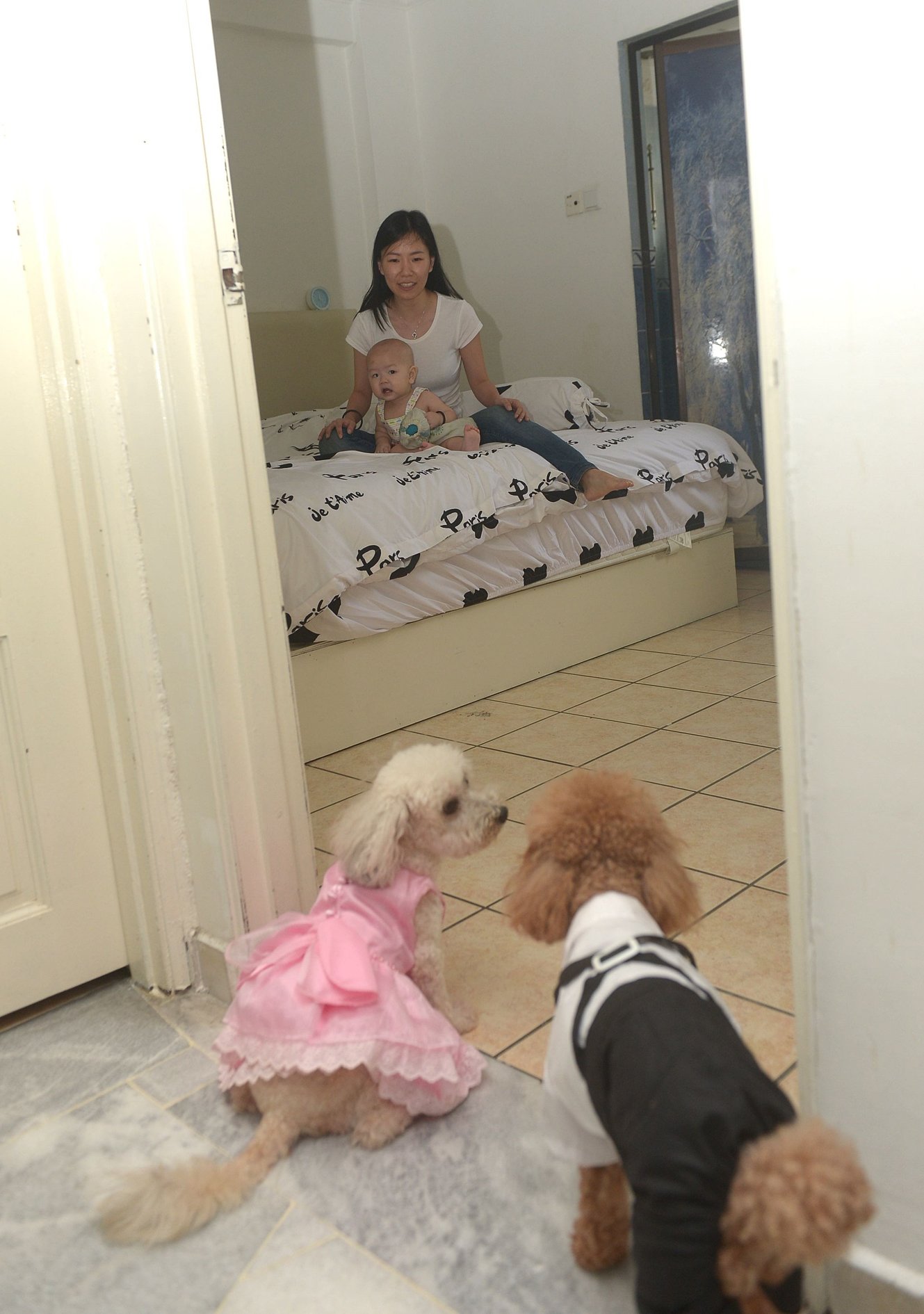 为了居家环境的卫生，没有主人 的许可下，两只狗狗不准踏入卧 房活动。