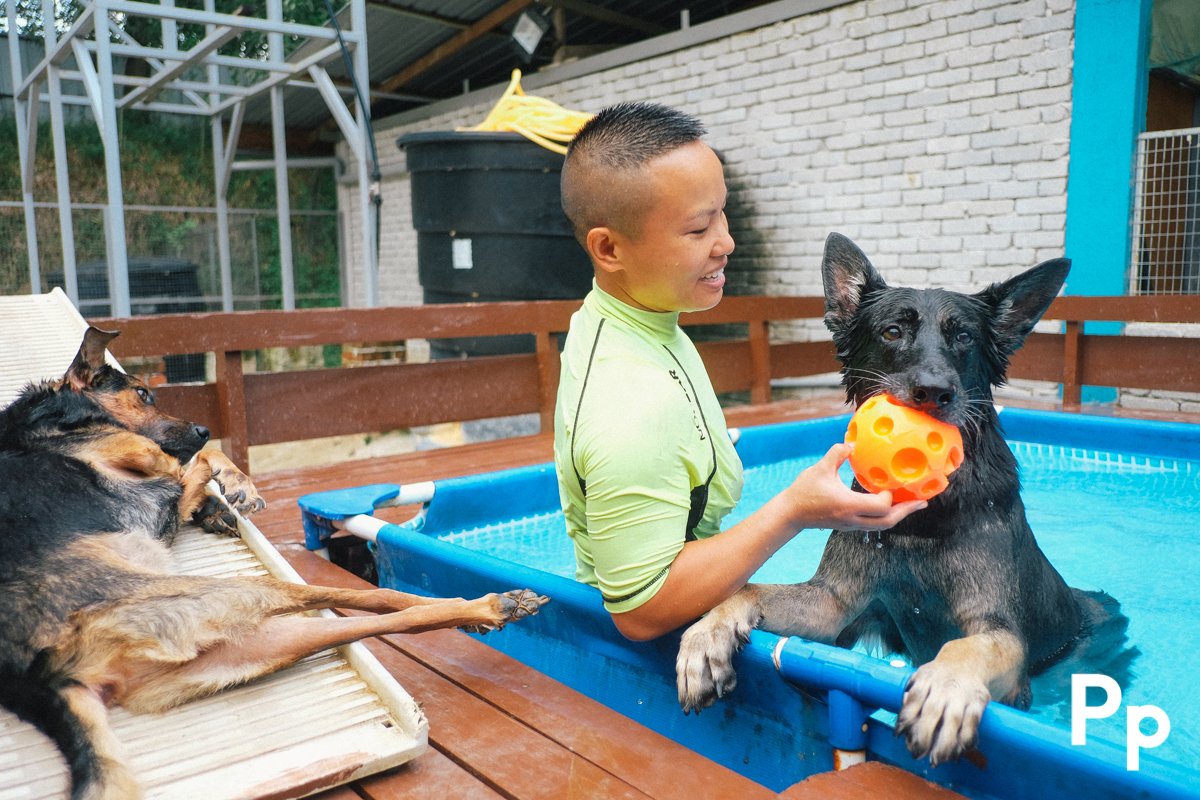 中心内设有盐水泳池，让狗狗能随意跳入池内嬉戏。每天下午，林丽娴也会安排残疾狗狗到水中游泳或到跑步机上练习，让它们也能像其他狗狗般运动。当然，饲主也能携带自家毛孩到中心使用该设施。
