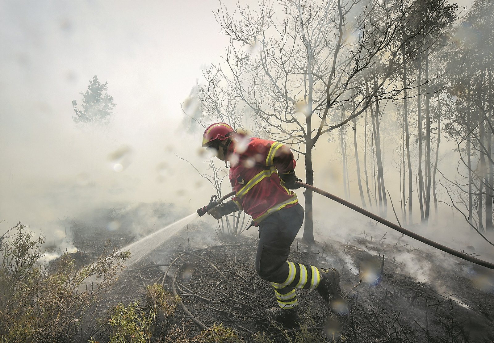 【葡萄牙】中部大佩德罗冈地区的致命山林大火仍未完全扑灭，消防人员必须在酷热的天气，穿著厚重的消防服，踏入高温仍在冒烟的林地灌水灭火，防止火势再起。
