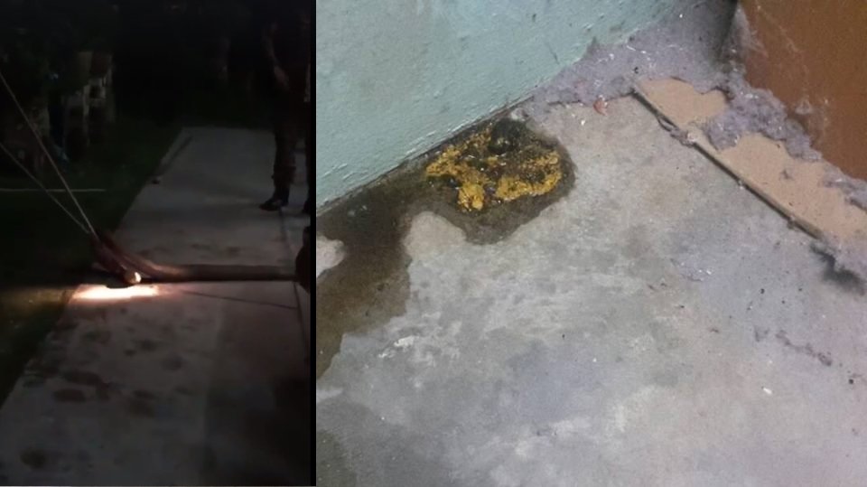 左：消防人员已抓住巨蛇；右：郭帟杋在家中发现的不明液体及大便。（图片取自郭帟杋面子书）