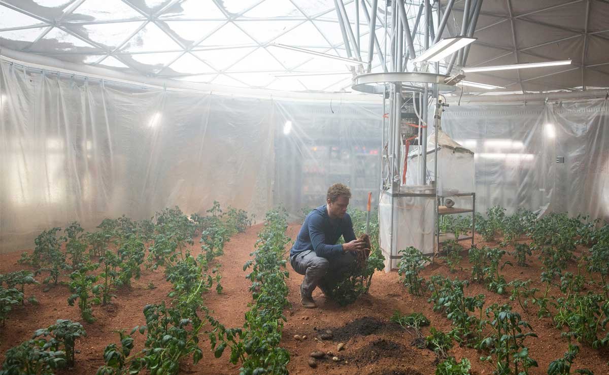 电影《火星救援》（The Martian）主角马克小心翼翼的照顾著火星上的马铃薯园。