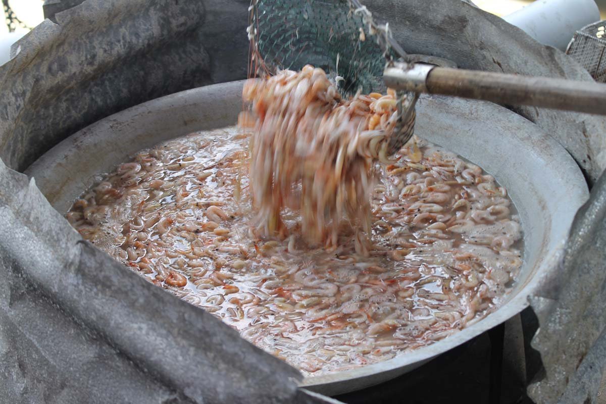 鲜虾放在大锅内以盐水煮，过程中要不断搅动虾料，以便均匀煮熟，晒出来的虾米会更漂亮。