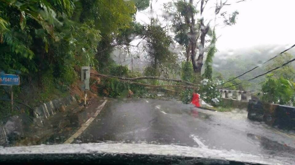 峇都丁宜前往直落巴巷的唯一道路，周六下午因树倒一度封路。（图取自槟岛市政厅面子书）