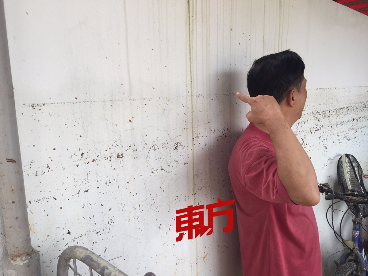 不愿露面的P.南利路灾民郭先生向记者展示11月4日大水灾的水位，几乎已达到其眼睛部位。（摄影：吴维康）