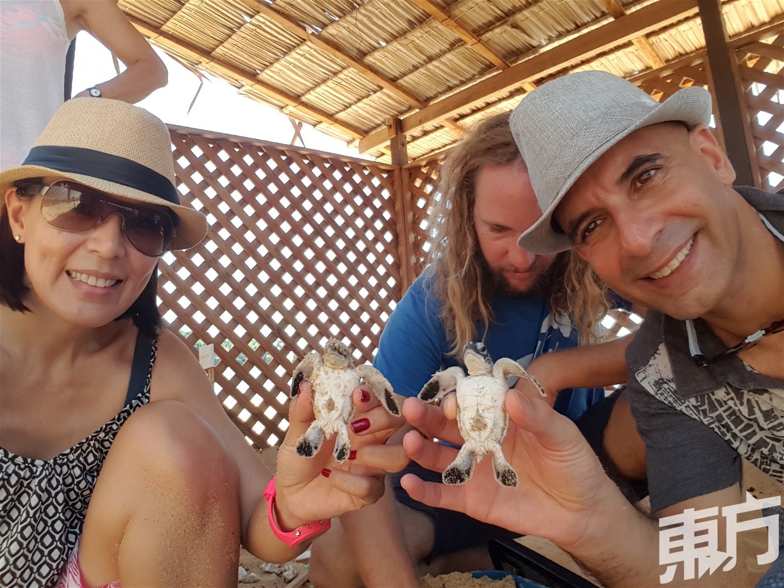 去年，陈雪丽和现任丈夫强尼前往登嘉楼丹绒佳拉的海龟保育中心，也是这一趟旅程，启发她透过画作唤起人们保育海龟的醒觉。