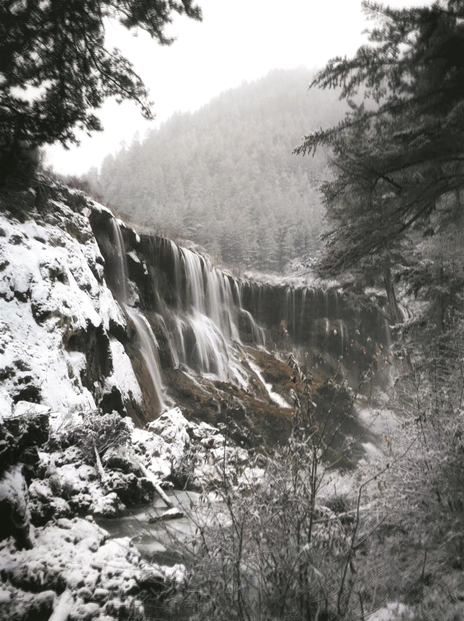 冬天里诺日朗瀑布难抵严寒被冰封，沟里变成白茫茫的一片。地震发生后该瀑布多处坍塌，目前已恢复到原先的美丽。