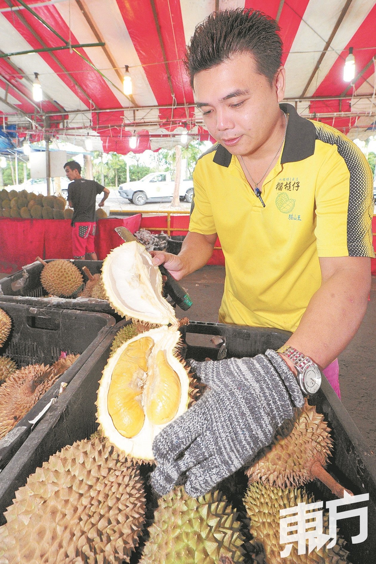榴梿摊贩展示最受欢迎猫山王品种榴梿。（摄影：杨金森）