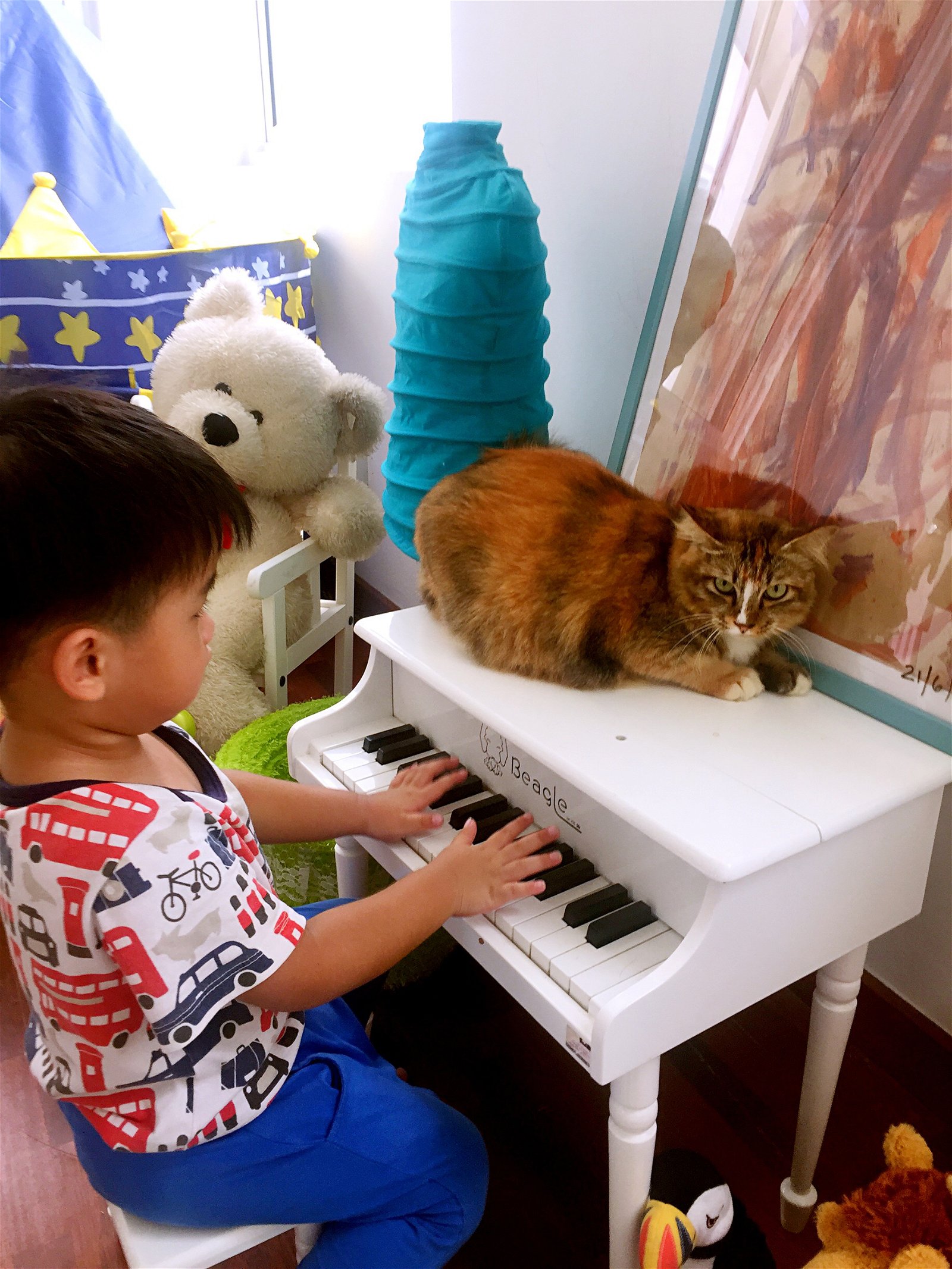 在参与照顾猫咪的过程中，小叶扬逐渐学会自我照顾及社交技巧。图为肥猫陪伴儿子弹琴时的温馨合影。